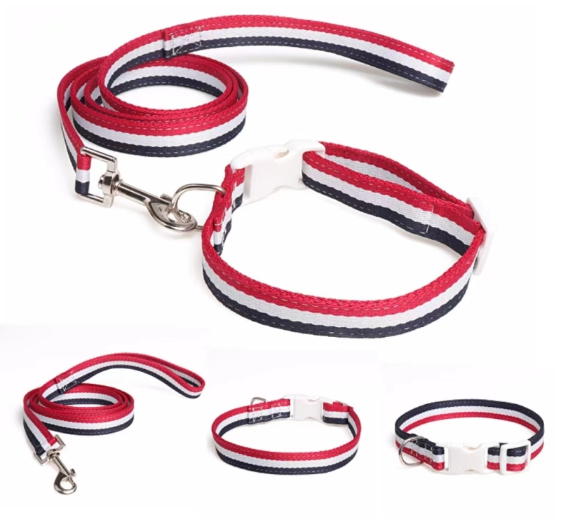 Adjustable Nylon Pet Collar with Matching Leash for Medium Large Dogs Basic Nylon Dog Collar