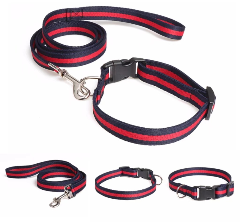 Adjustable Nylon Pet Collar with Matching Leash for Medium Large Dogs Basic Nylon Dog Collar