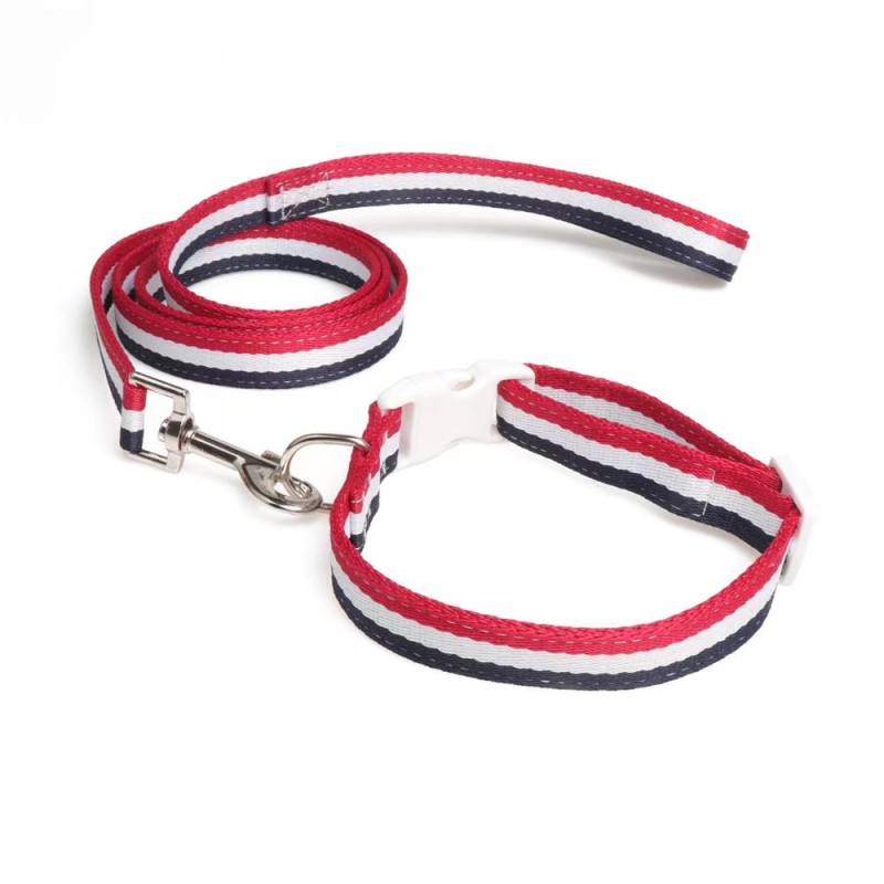 Adjustable Nylon Pet Collar with Matching Leash for Medium Large Dogs Basic Nylon Dog Collar