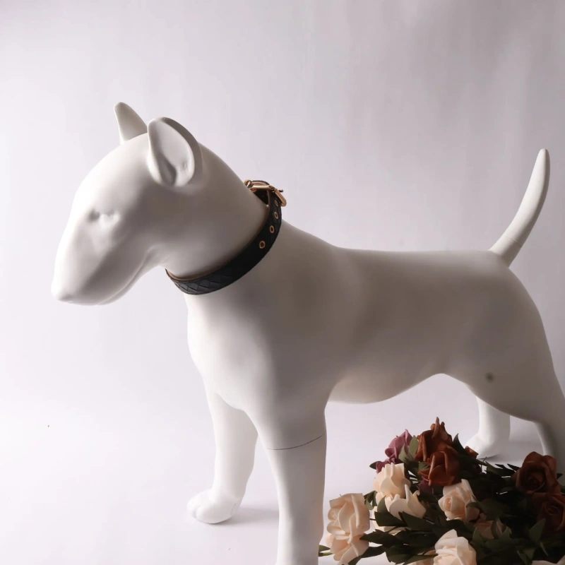 Weave PU soft dog collar and leash set solid stylish pet leads supplier pets products accessories hot