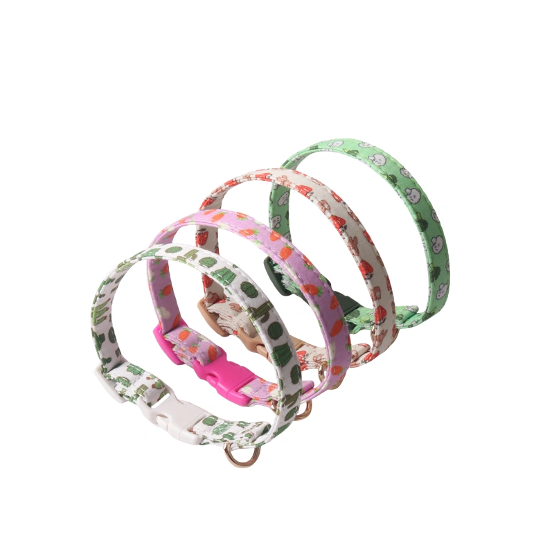 Amigo New Pet products design  Two layers of double sided bandana dog collar color buckle