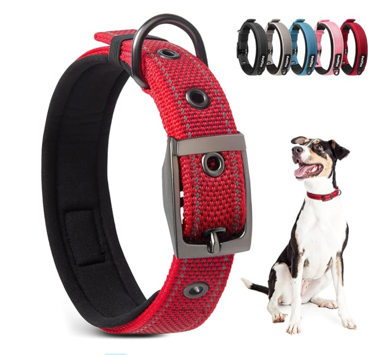 Adjustable Breakaway Reflective Plain Nylon Webbing Dog Collars For Small Medium Large Dog Puppy Cats Collar
