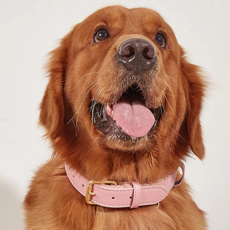 high quality breathable Soft Padded Pet Collars designer adjustable leather waterproof luxury dog cat collar