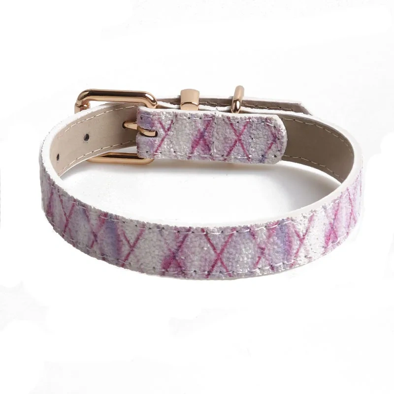 High Quality Color Matching New Design Dog Collar Dog Accessories