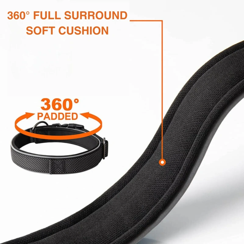 Adjustable Custom Dog Collar Nylon Dog Collar , Dog Collar Buckle Soft Neoprene Padded