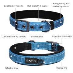 Adjustable Breakaway Reflective Plain Nylon Webbing Dog Collars For Small Medium Large Dog Puppy Cats Collar