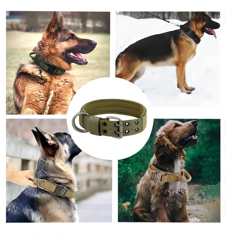 Waterproof Training Large Dog Collar Set Custom Logo Adjustable Nylon Webbing Tactical Big Dog Collar Leash Set