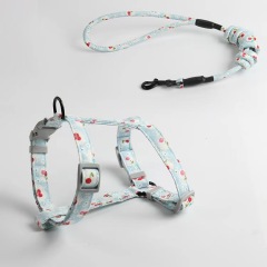 Fully Adjustable Vest Dog Harness with Leash Durable Colorful Nylon Harness Set