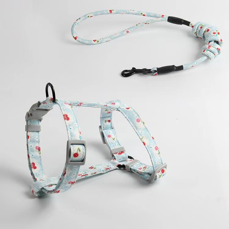 Fully Adjustable Vest Dog Harness with Leash Durable Colorful Nylon Harness Set