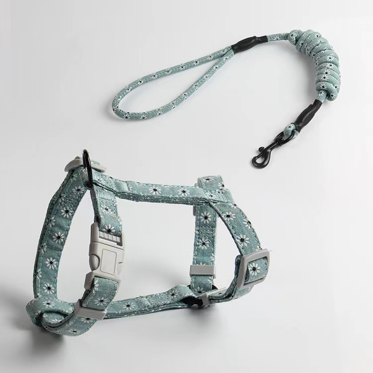 Fully Adjustable Vest Dog Harness with Leash Durable Colorful Nylon Harness Set
