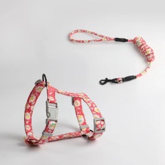 Fully Adjustable Vest Dog Harness with Leash Durable Colorful Nylon Harness Set