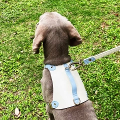 High Quality Dog Leash And Harness WaterProof articulos accesorios para mascotas al mayor