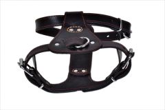 Genuine Leather Dog Harness,Real Leather Dogs Walking Training Vest Adjustable Straps  for Medium and  Large dogs