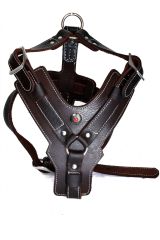 Genuine Leather Harness for Large Dogs, Genuine Leather Harnesses Pet Training Vest With Quick Control Handle.