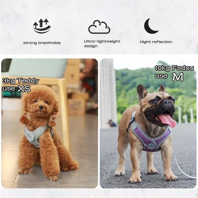 Dog Harness Leash Set Adjustable Pet Harness Vest For Small Large Dog Cat Reflective Mesh Puppy Cat Chest Strap Dog Accessories