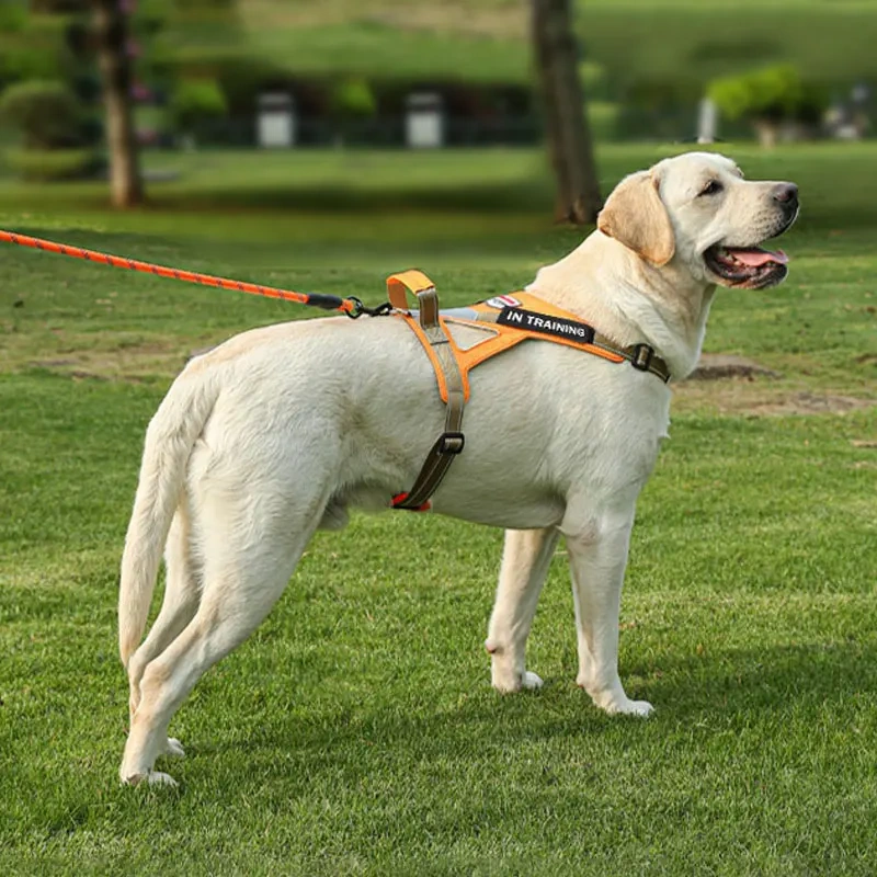 Personalized dog name dog harness no tension reflective breathable Labrador dog harness large dog outdoor walking training