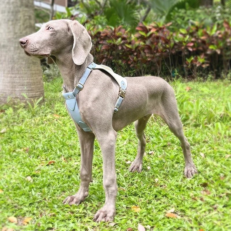 High Quality Dog Leash And Harness WaterProof articulos accesorios para mascotas al mayor