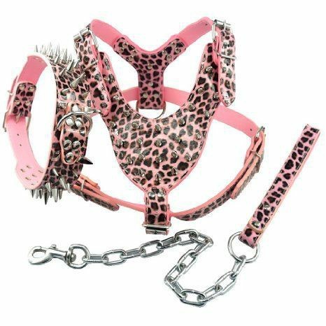 Rivet Bullet Dog Harness Leash Collar Three-Piece Set
