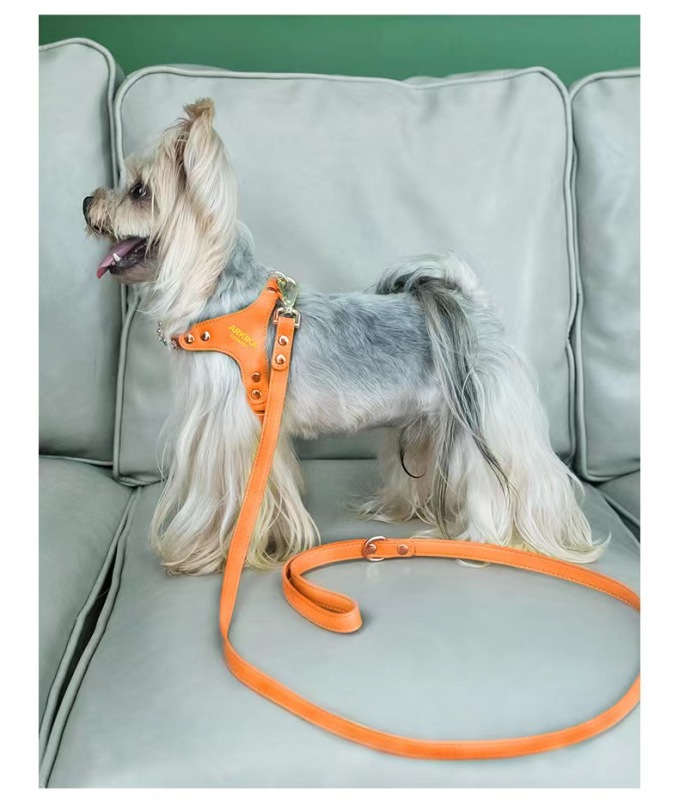 Adjustable Hot Drilling Bow Pet Chest Strap Cat Leash Rope Set Small Dog Collar Chest Back Dog Strap Small Dog Pet Supplies