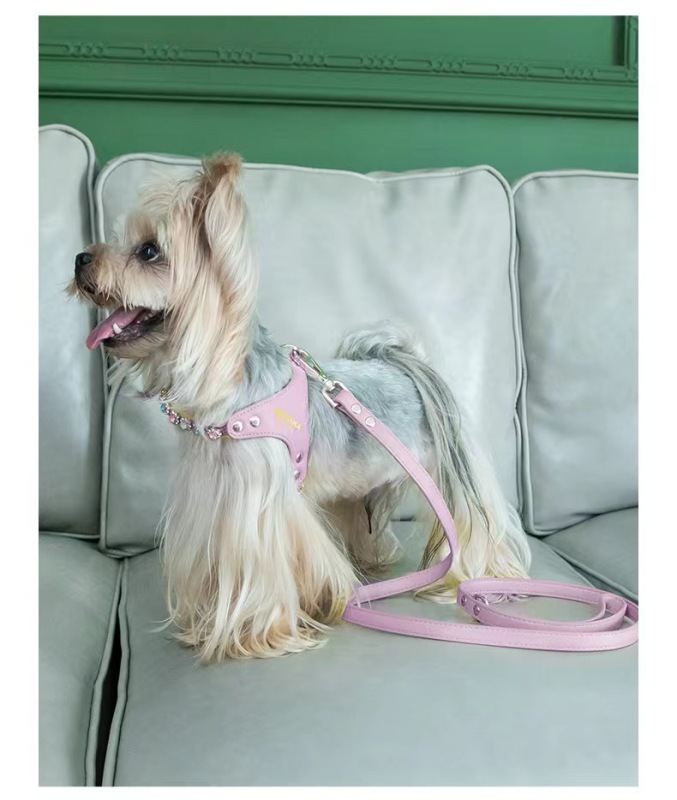 Adjustable Hot Drilling Bow Pet Chest Strap Cat Leash Rope Set Small Dog Collar Chest Back Dog Strap Small Dog Pet Supplies