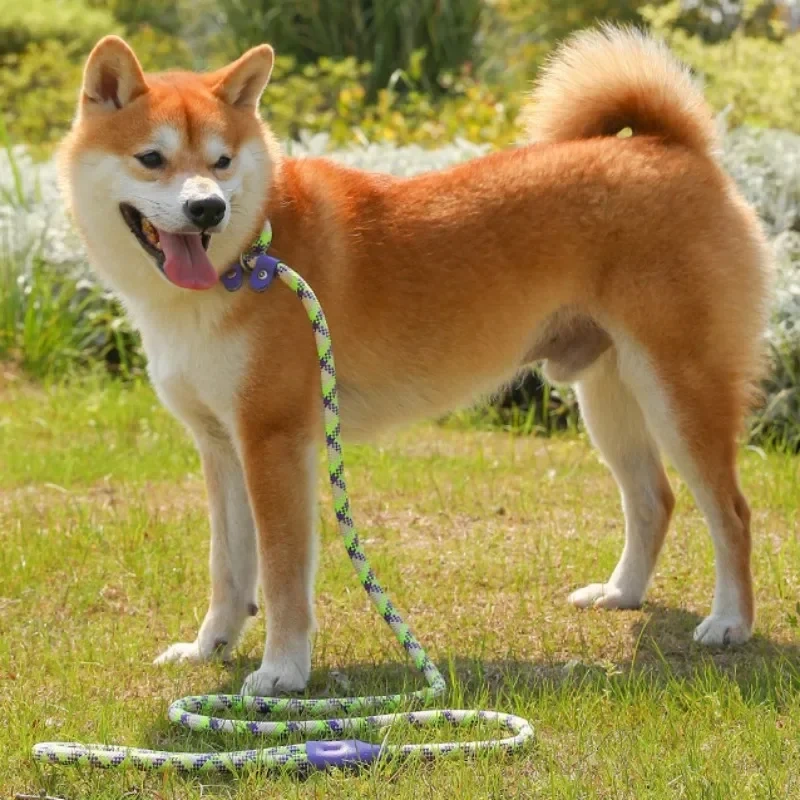 Dog Leash P Rope Dogs Chain Adjustable Dogs Leash P Chain Harness Dog Walking Puppy Training Leashes Traction Rope Pet Supplies