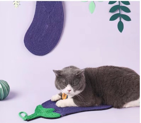 Cat Scratch Board, Cactus Style Anti Cat Scratch Grinding Claw Board, Hanging Cat Scratch Pad, Cat Toys That Do Not Shed Debris