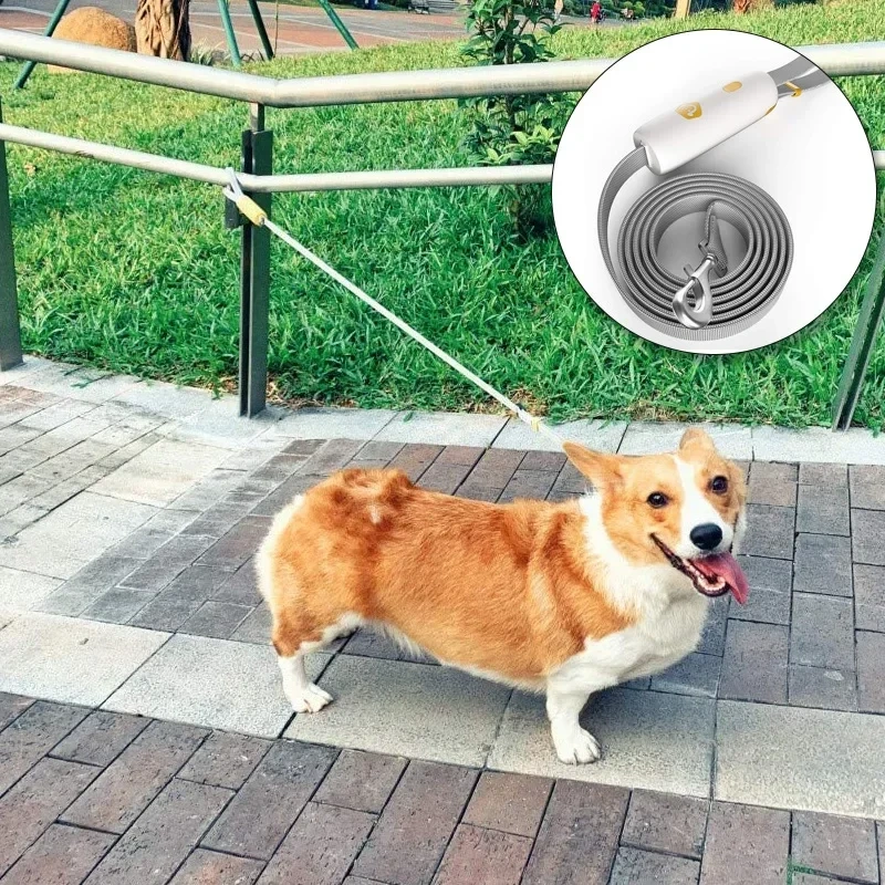 Durable Dog Leash Automatic Retractable Nylon Cat Lead Extension Puppy Walking Running Lead Roulette For Dogs Pet Products