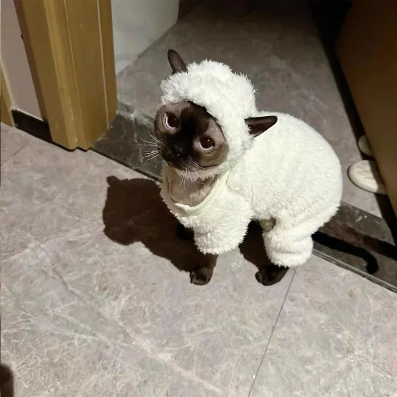 Winter Sphynx Cat Clothes Thickened Warm Four-legged Pullover Cat Coat Lamb Double-sided Velvet Pet Pajamas for Devon Rex