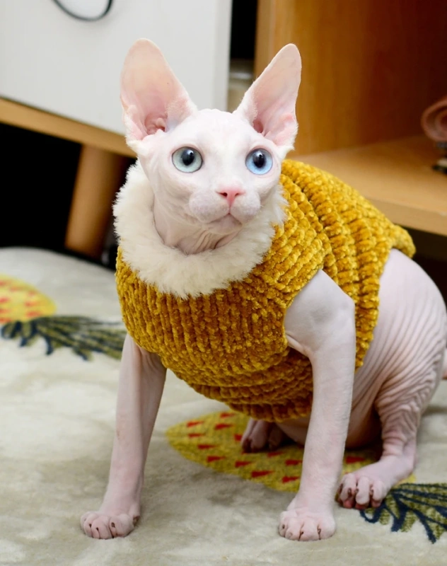 Devon Rex Thickening Plush Coat Cat Sweater Costume Sphynix Clothes Katten Sphynx Pullover Clothing Products for Winter Outwear