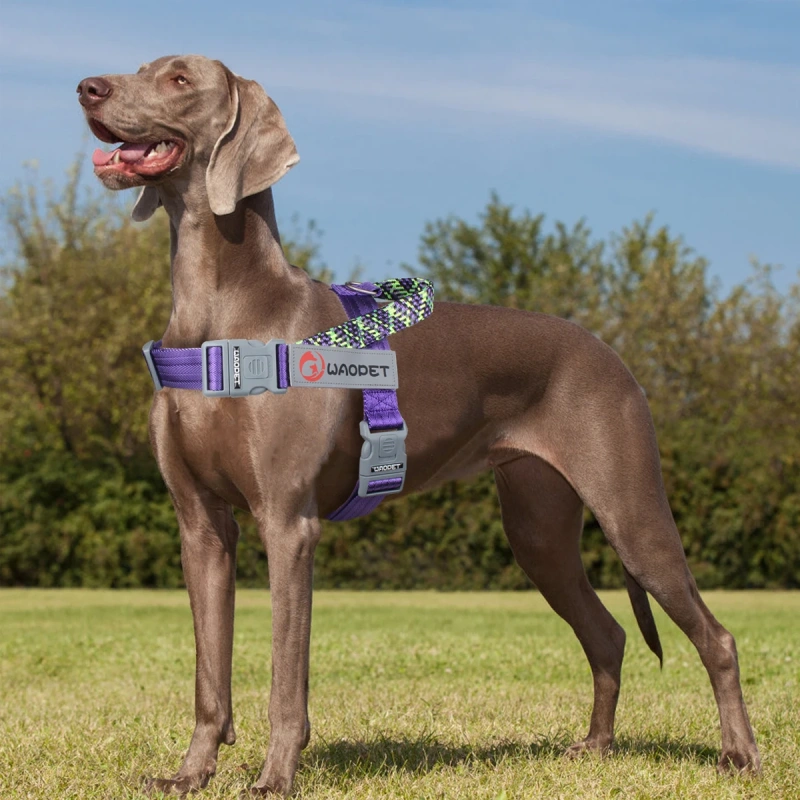 Fashion Style Dog Vest Harnesses For small medium and large dogs durable Nylon Manufacturers pet harness 2024 New