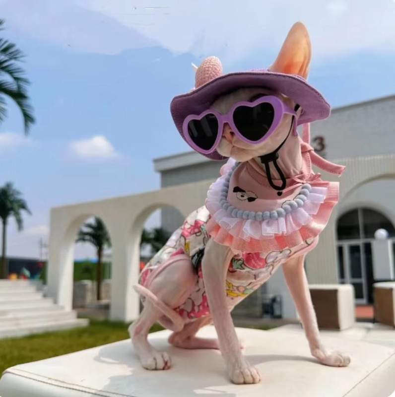 Fashion Plastic Pet Cat Sunglasses Cute Heart Sun flower Glasses For Sphynx Devon Rex Photos Props Cat Eye-Wear Pet Weeding