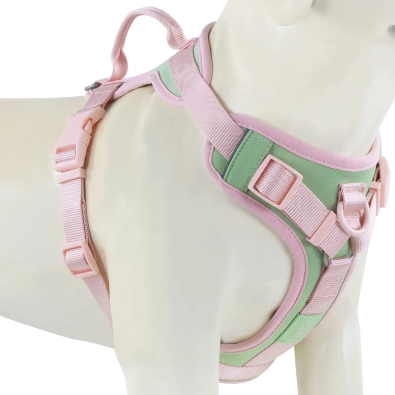 Splicing Colors Breathable For Medium No Pull Dog Harness for large Small dogs Adjustable Chest Strap Outdoor Dog Harness