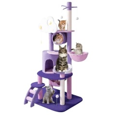 version with ladder