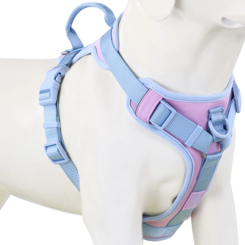 Splicing Colors Breathable For Medium No Pull Dog Harness for large Small dogs Adjustable Chest Strap Outdoor Dog Harness