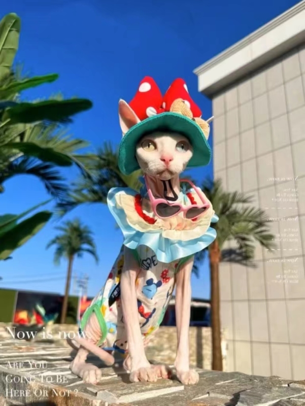 Fashion Plastic Pet Cat Sunglasses Cute Heart Sun flower Glasses For Sphynx Devon Rex Photos Props Cat Eye-Wear Pet Weeding