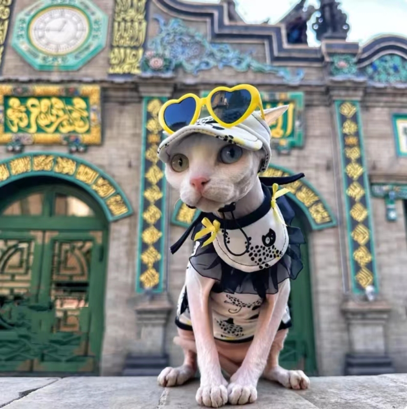 Fashion Plastic Pet Cat Sunglasses Cute Heart Sun flower Glasses For Sphynx Devon Rex Photos Props Cat Eye-Wear Pet Weeding