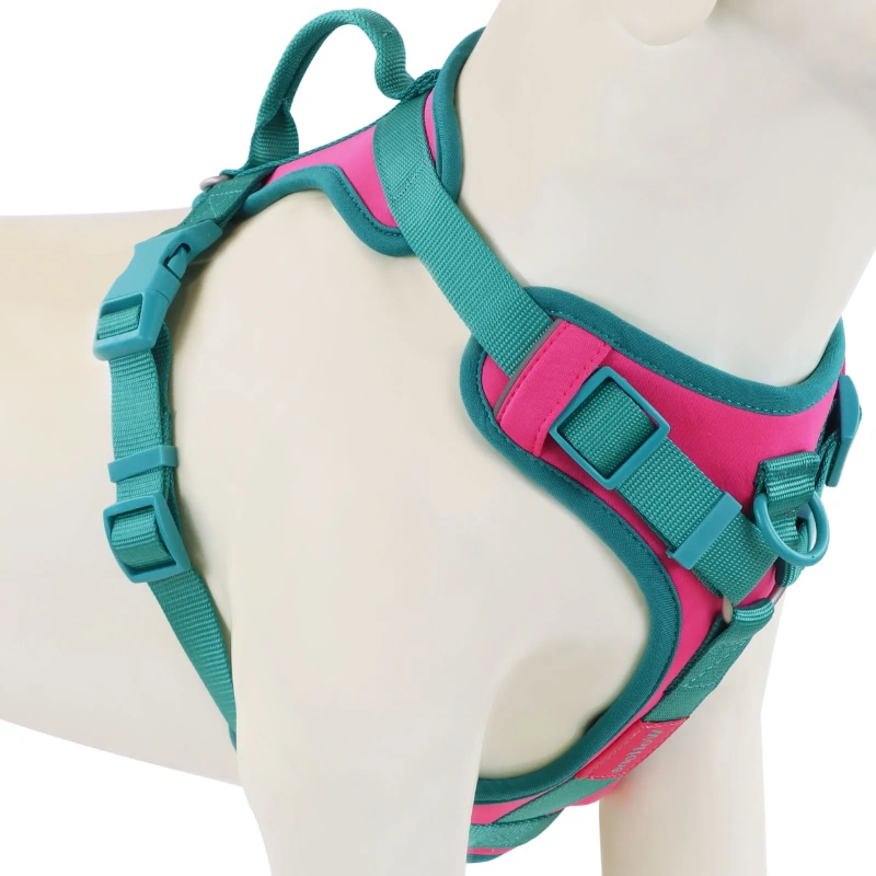 Splicing Colors Breathable For Medium No Pull Dog Harness for large Small dogs Adjustable Chest Strap Outdoor Dog Harness