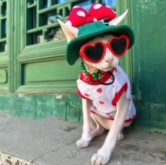 Fashion Plastic Pet Cat Sunglasses Cute Heart Sun flower Glasses For Sphynx Devon Rex Photos Props Cat Eye-Wear Pet Weeding