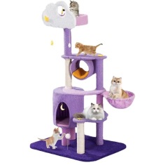 two cat litters
