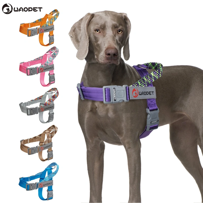 Fashion Style Dog Vest Harnesses For small medium and large dogs durable Nylon Manufacturers pet harness 2024 New