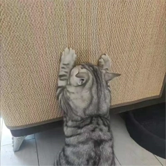 Pet Cat Scratching Board Natural Sisal Cat Scratcher Blanket Post Mat Pet Toy For Protecting Furniture Foot Sofa Cushion