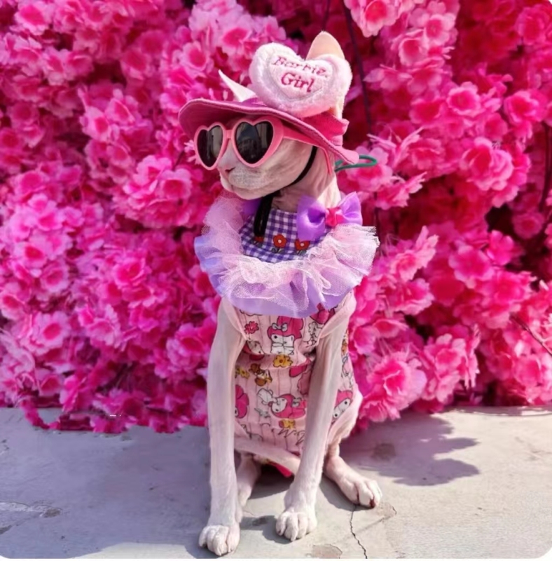 Fashion Plastic Pet Cat Sunglasses Cute Heart Sun flower Glasses For Sphynx Devon Rex Photos Props Cat Eye-Wear Pet Weeding