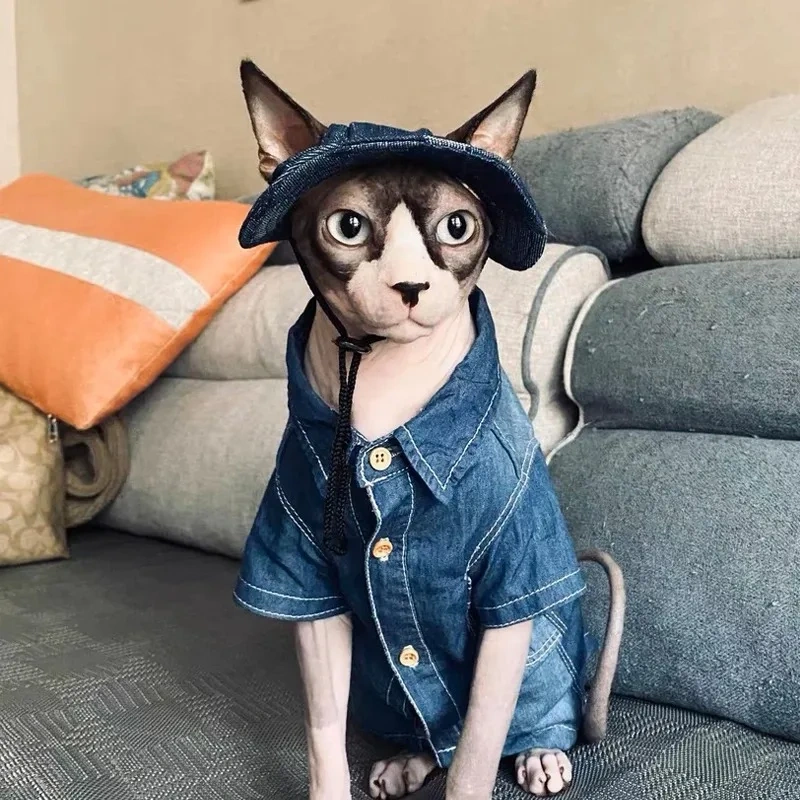 Cotton Cat Hat With Ear Holes For Sphynx Sphinx Hairless Cats Kitten Devon Rex Sunscreen Travel Hiking Tie Dye Adjustable Hats