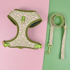1 Pcs Cute Design Adjutable Luxury Designer Pet Harness &1 Pcs Color Matching Pet Dog Leashes For Small And Medium Puppy