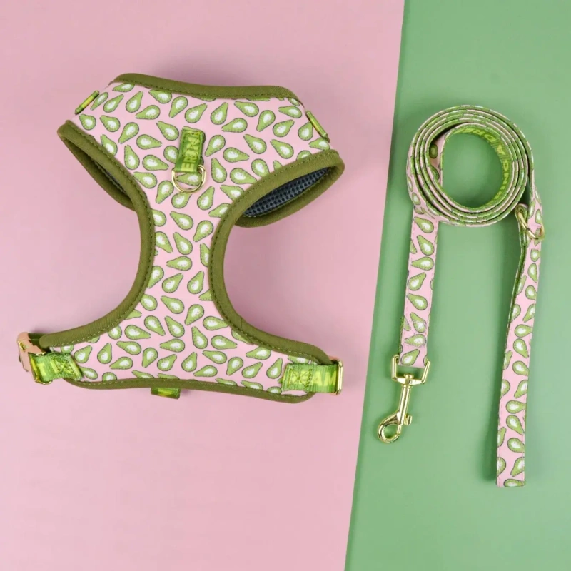 1 Pcs Cute Design Adjutable Luxury Designer Pet Harness &1 Pcs Color Matching Pet Dog Leashes For Small And Medium Puppy