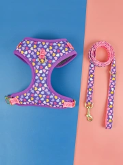 1 Pcs Cute Design Adjutable Luxury Designer Pet Harness &1 Pcs Color Matching Pet Dog Leashes For Small And Medium Puppy