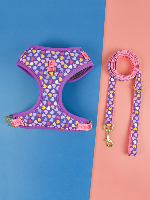 1 Pcs Cute Design Adjutable Luxury Designer Pet Harness &1 Pcs Color Matching Pet Dog Leashes For Small And Medium Puppy