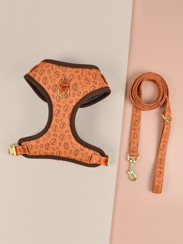 1 Pcs Cute Design Adjutable Luxury Designer Pet Harness &1 Pcs Color Matching Pet Dog Leashes For Small And Medium Puppy