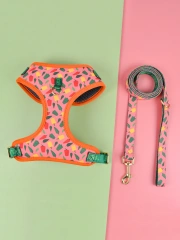 1 Pcs Cute Design Adjutable Luxury Designer Pet Harness &1 Pcs Color Matching Pet Dog Leashes For Small And Medium Puppy