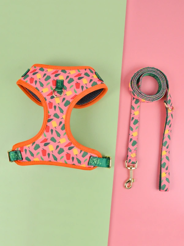 1 Pcs Cute Design Adjutable Luxury Designer Pet Harness &1 Pcs Color Matching Pet Dog Leashes For Small And Medium Puppy